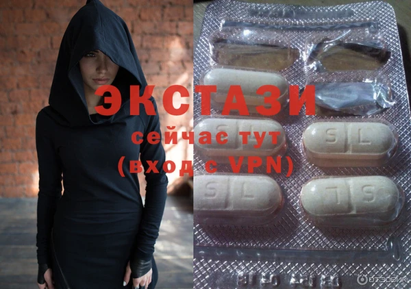 гидра Вяземский