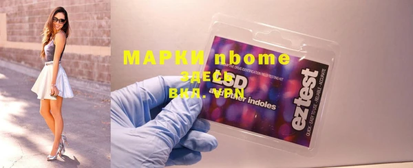 гидра Вяземский