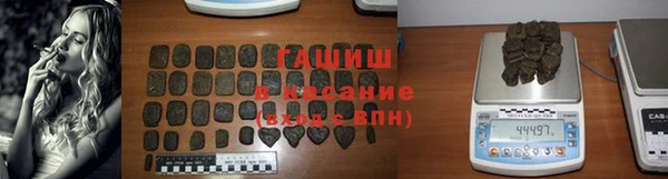гидра Вяземский