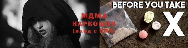 гидра Вяземский