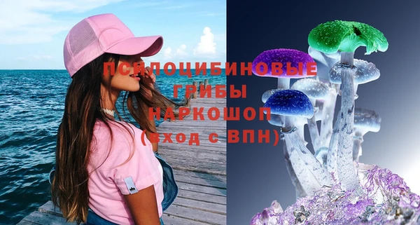 гидра Вяземский