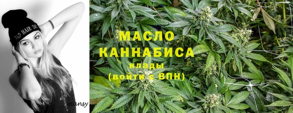 гидра Вяземский