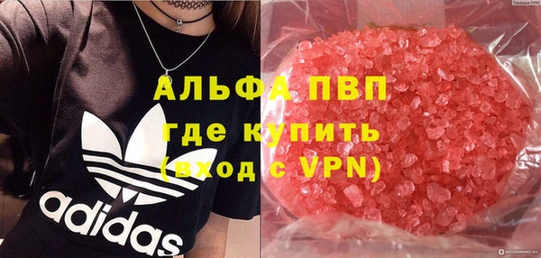 гидра Вяземский