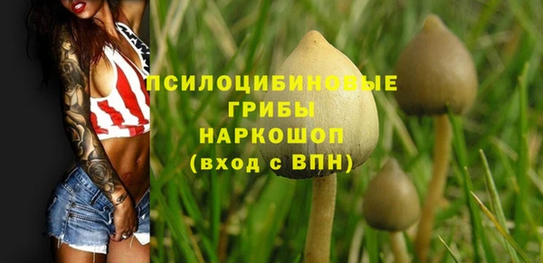 a pvp Вязники