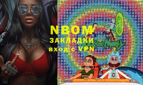 гидра Вяземский