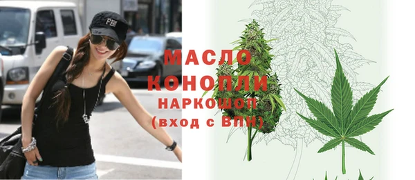 гидра Вяземский