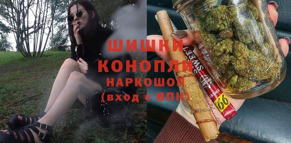 гидра Вяземский