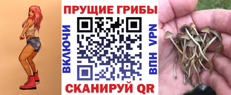 сколько стоит  OMG как войти  Галлюциногенные грибы мухоморы  Бердск 